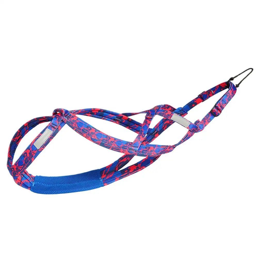 Meilleur harnais canicross bleu et rouge 