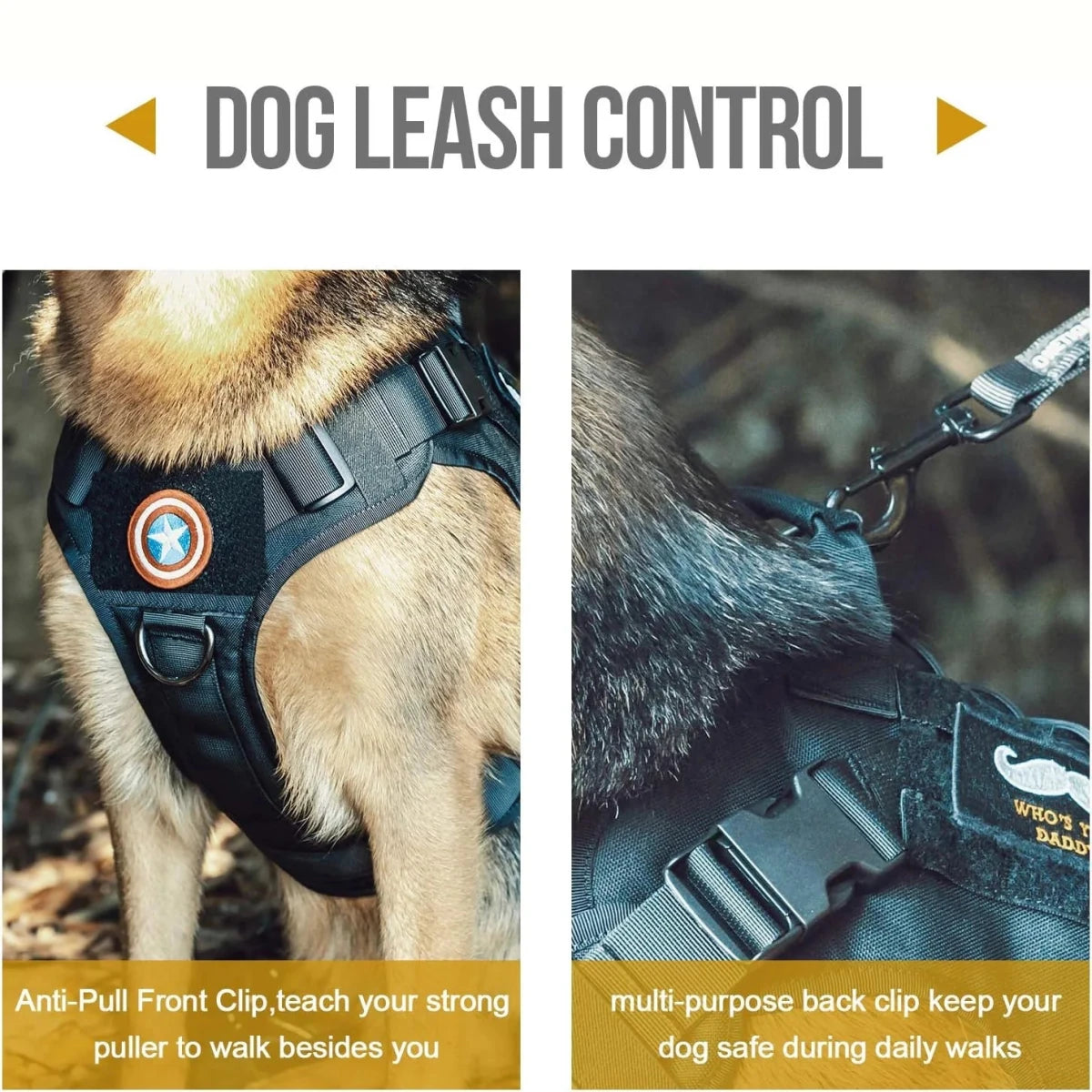 Meilleur harnais chien anti traction avantages mousqueton
