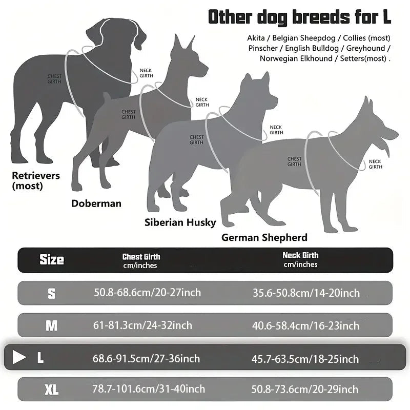 Meilleur harnais chien anti traction tailles 