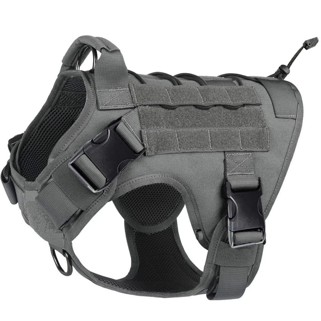Meilleur harnais chien anti traction gris