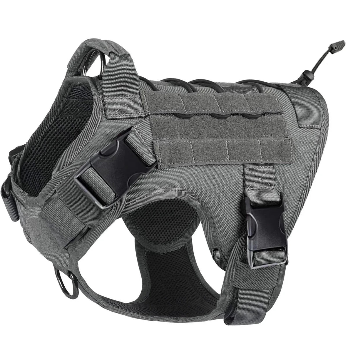 Meilleur harnais chien anti traction gris