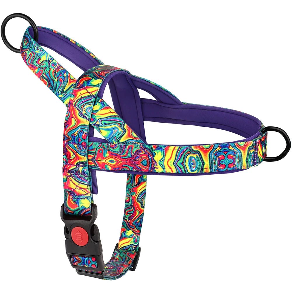 Meilleur harnais chiot colorer