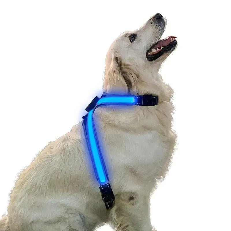 Meilleur harnais en y sur un grand chien blanc 