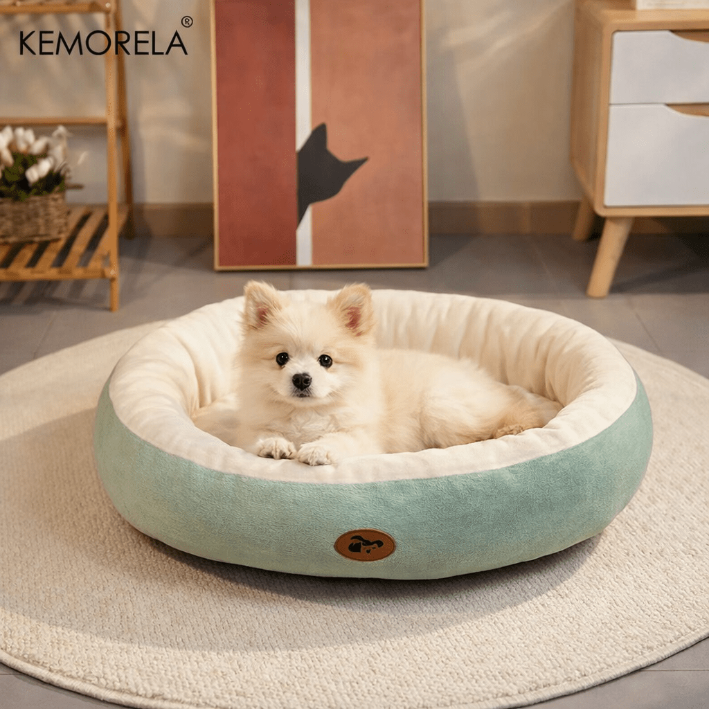 Panier pour chien design pas cher avec un petit chien blanc