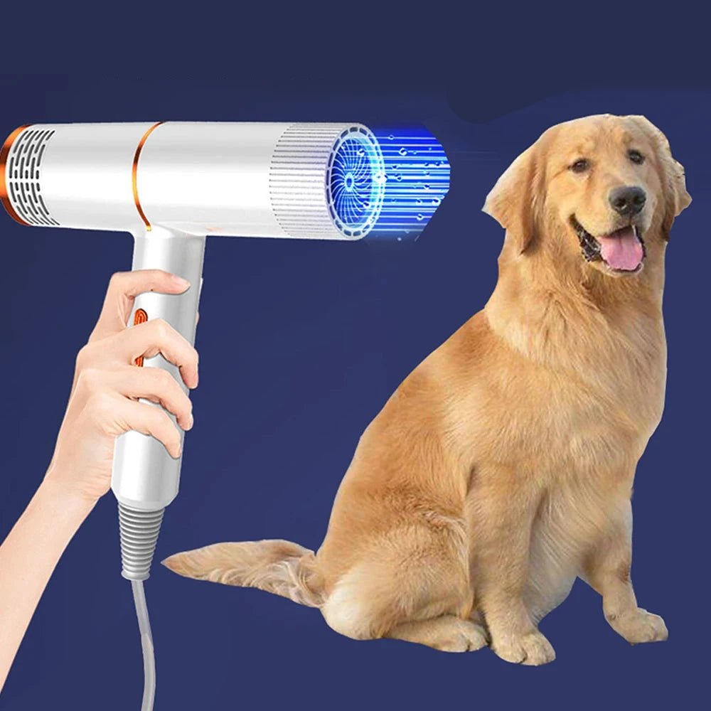 sèche poil pour chien 