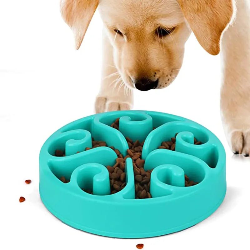 Meilleure gamelle anti glouton chien bleu