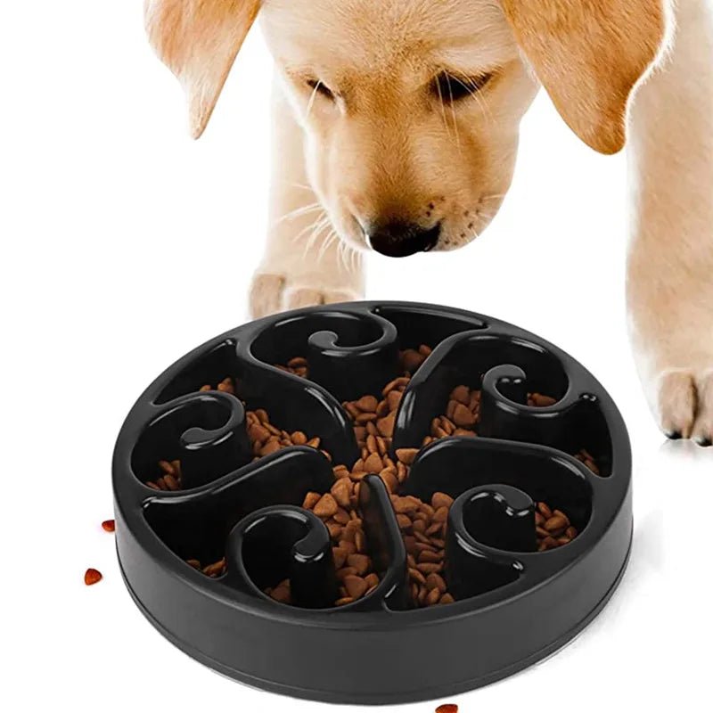 Meilleure gamelle anti glouton chien noir 