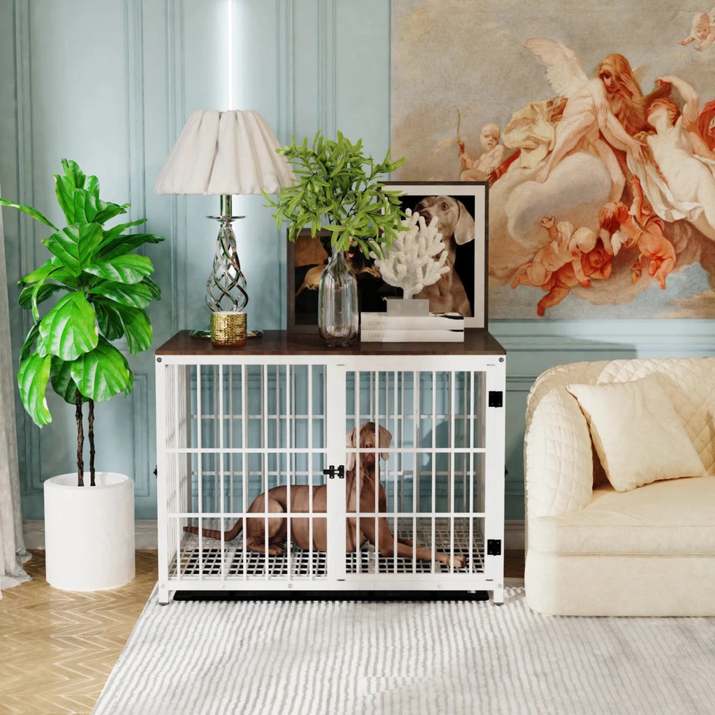 Chien dans cage intérieur en forme de meuble de couleur blanc. Il y a de nombreuse plante verte sur la cage avec sur le côte canapé blanc. Image produit Boutiquechien
