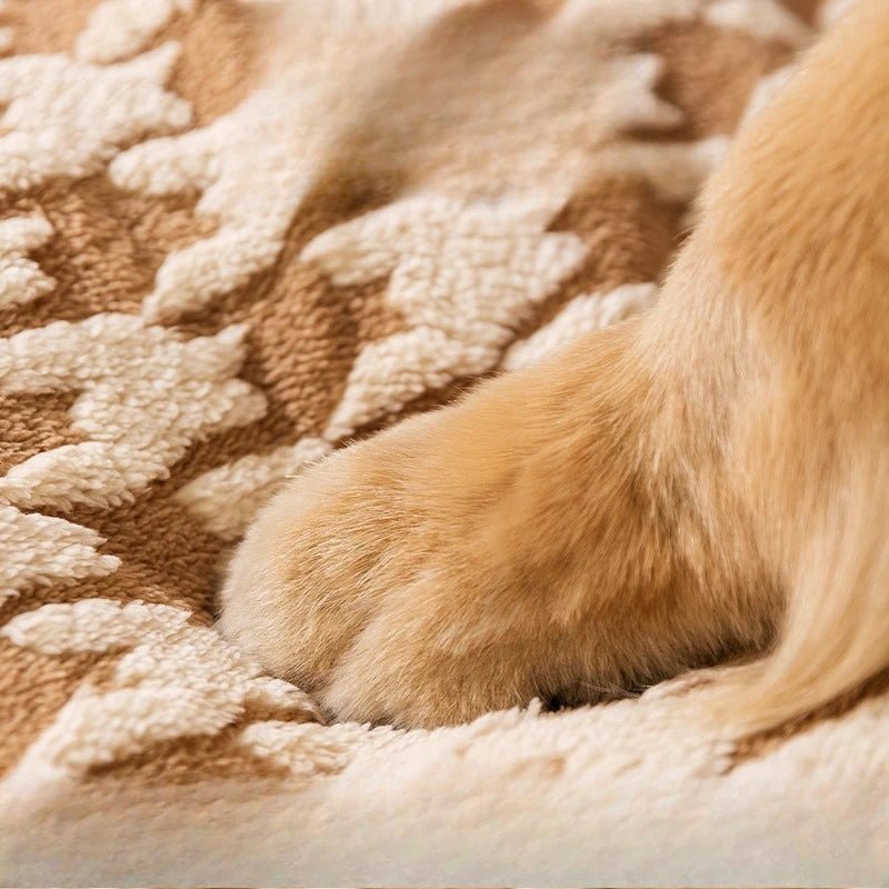 Panier avec toit pour chien patte