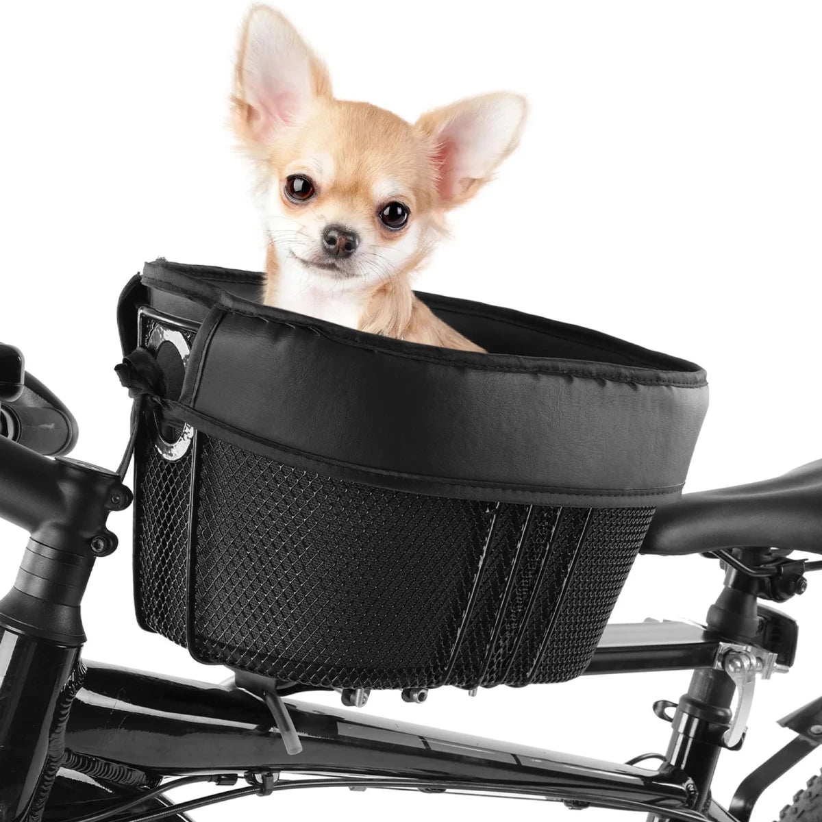 panier à vélo pour chien de couleur noir. Le panier chien est dépose sur une barre accroché au cadre du vélo et à la selle du vélo. Un chihuahua blanc et assis dans le panier chien vélo avec double accroche.  Image produit Boutiquechien