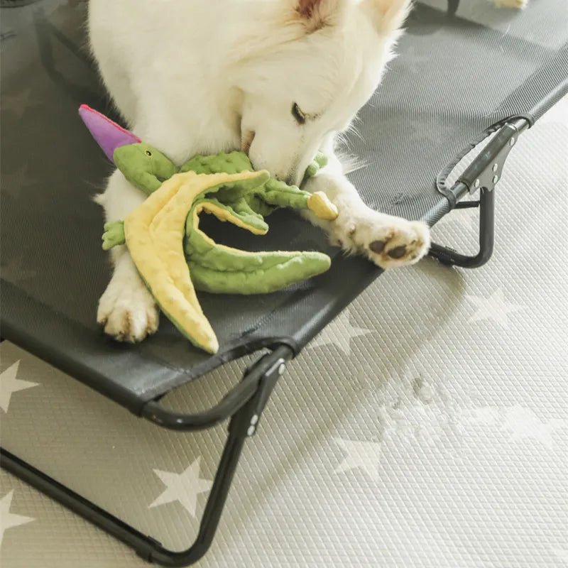 Panier dur pour chien avec un chien blanc couche dessus 