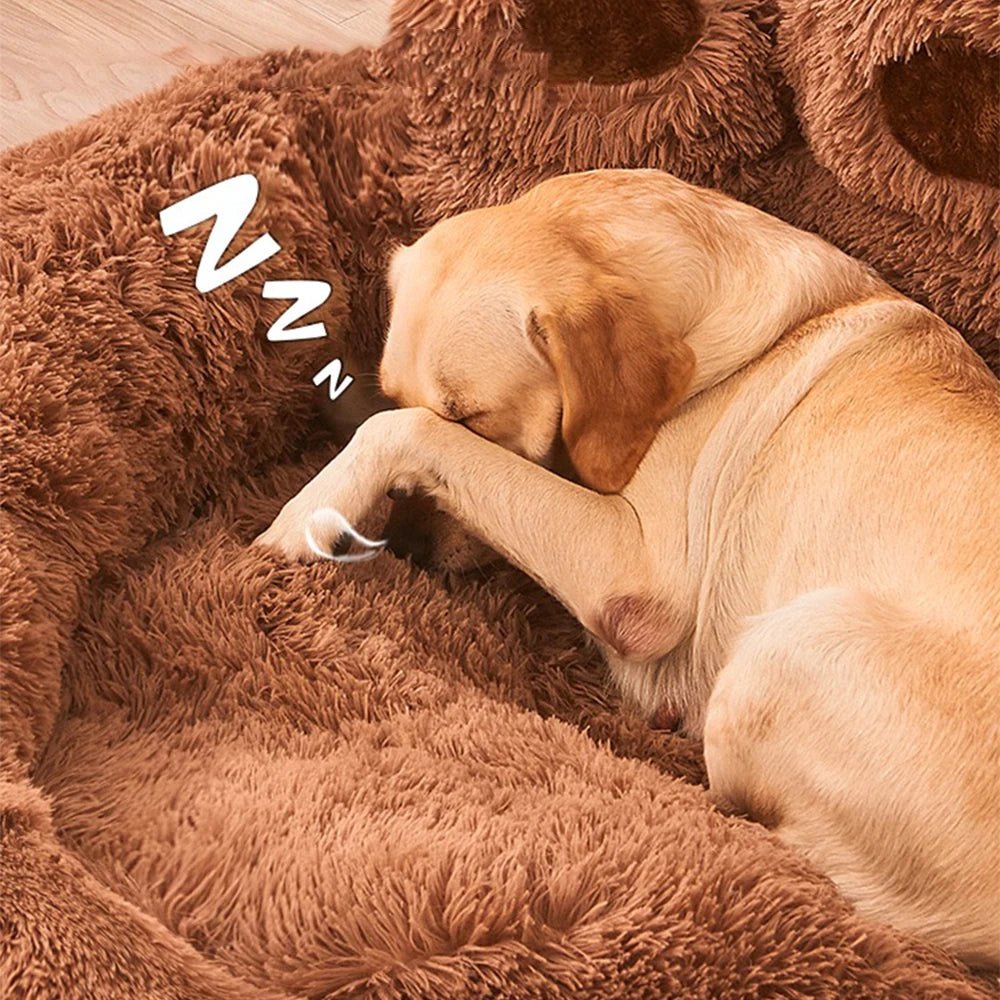 Gros chien de couleur beige dormant dans le panier brun en forme de patte. Image produit Boutiquechien 