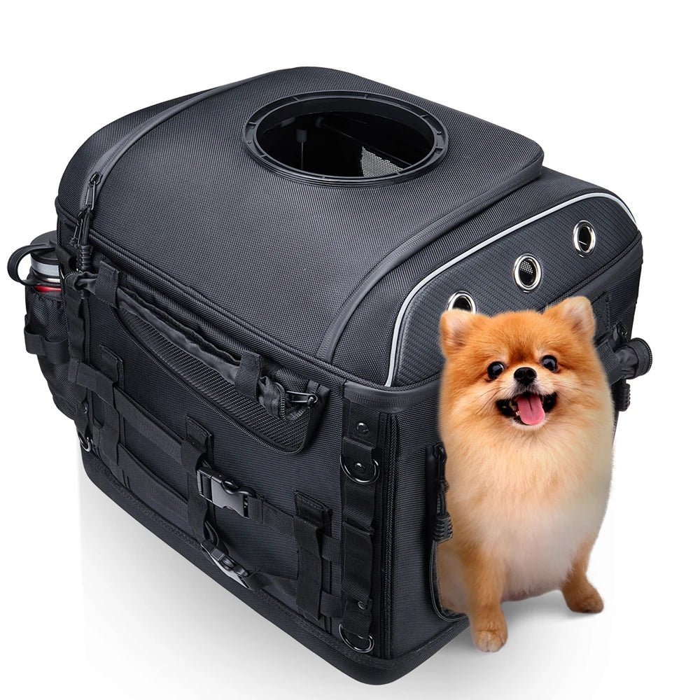 Panier moto pour chien