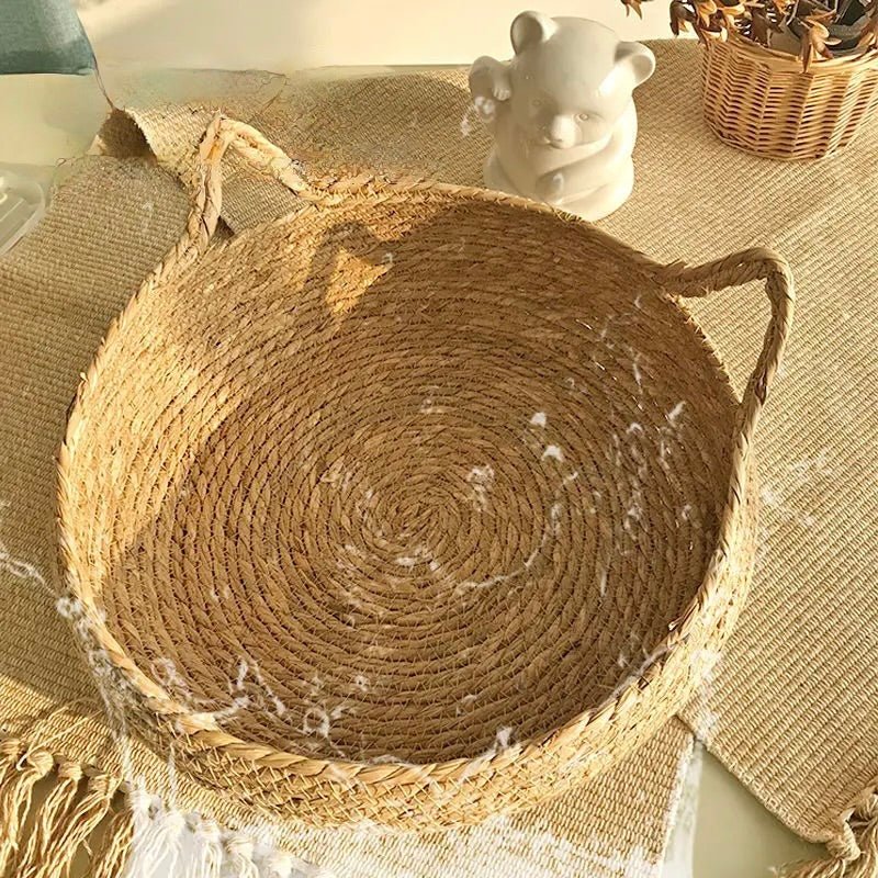 panier en osier avec en fond une plante verte. Image produit Boutiquechien 