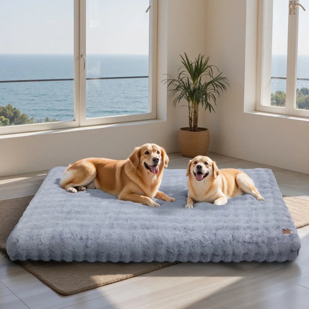 Panier pour chien entièrement déhoussable de couleur bleu avec en fond une plante verte et la mer 