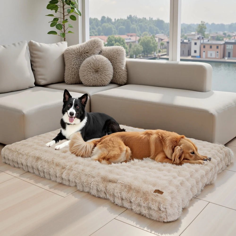Panier pour chien entièrement déhoussable avec deux chiens couché dessus avec en fond un canapé gris 