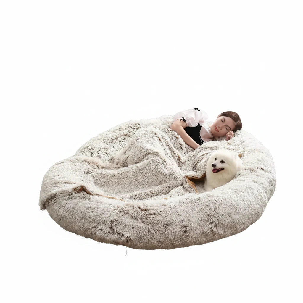 Panier pour chien pour humain dans un salon de couleur claire 