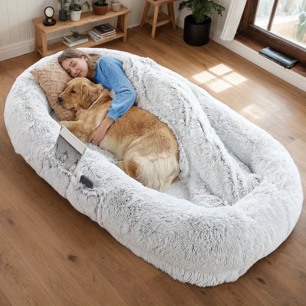 Panier pour chien pour humain dans un salon de couleur claire avec une femme et un chien