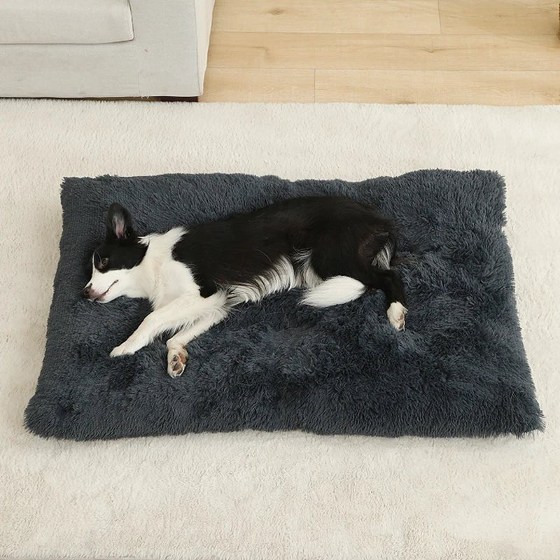 Panier pour chien rectangulaire avec un chien couche 