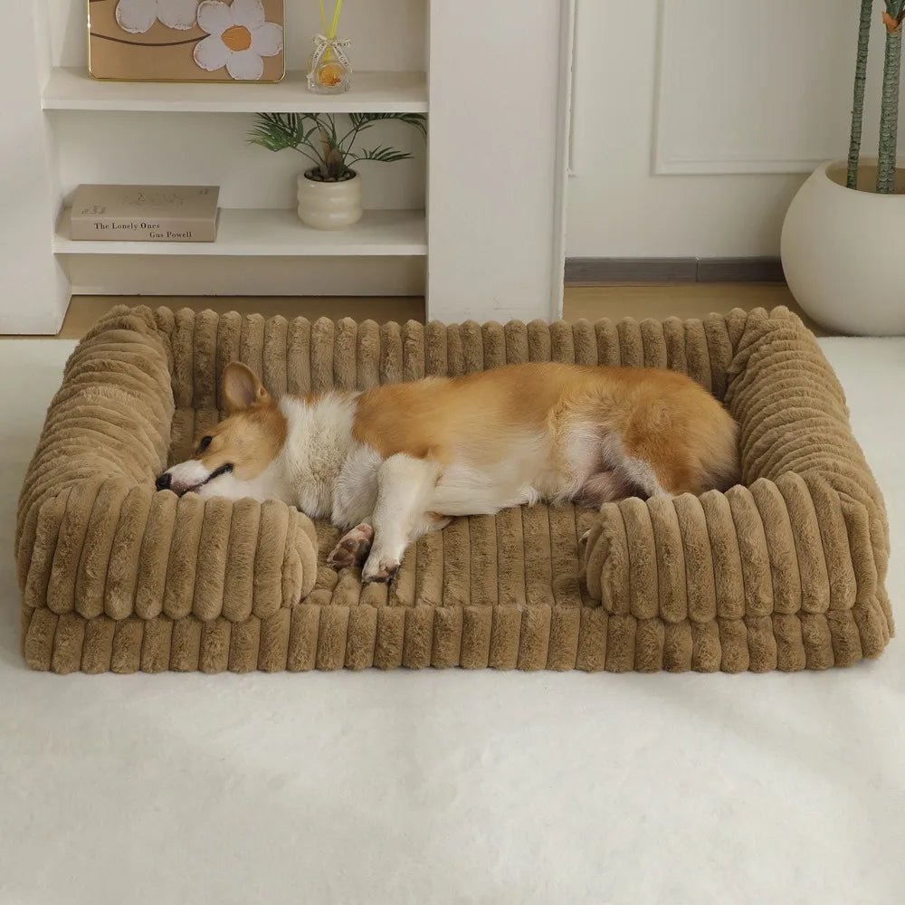 Panier pour chien velour cotele avec un corgi couche dedans 