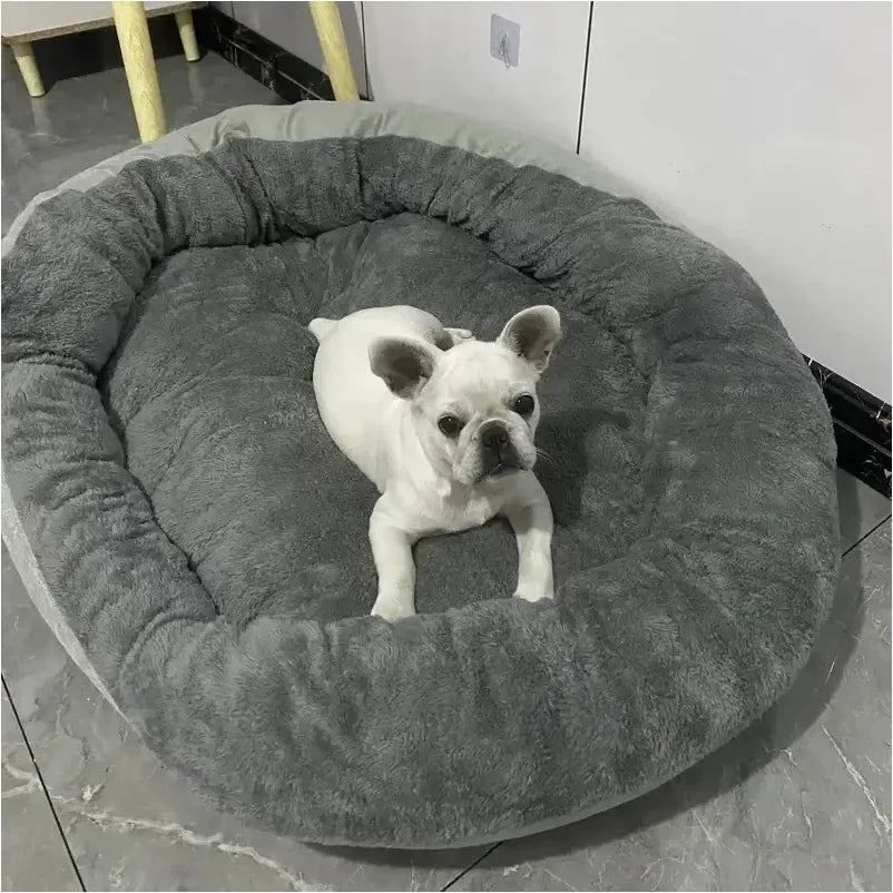 Panier pour petit chien chihuahua avec petit chien blanc
