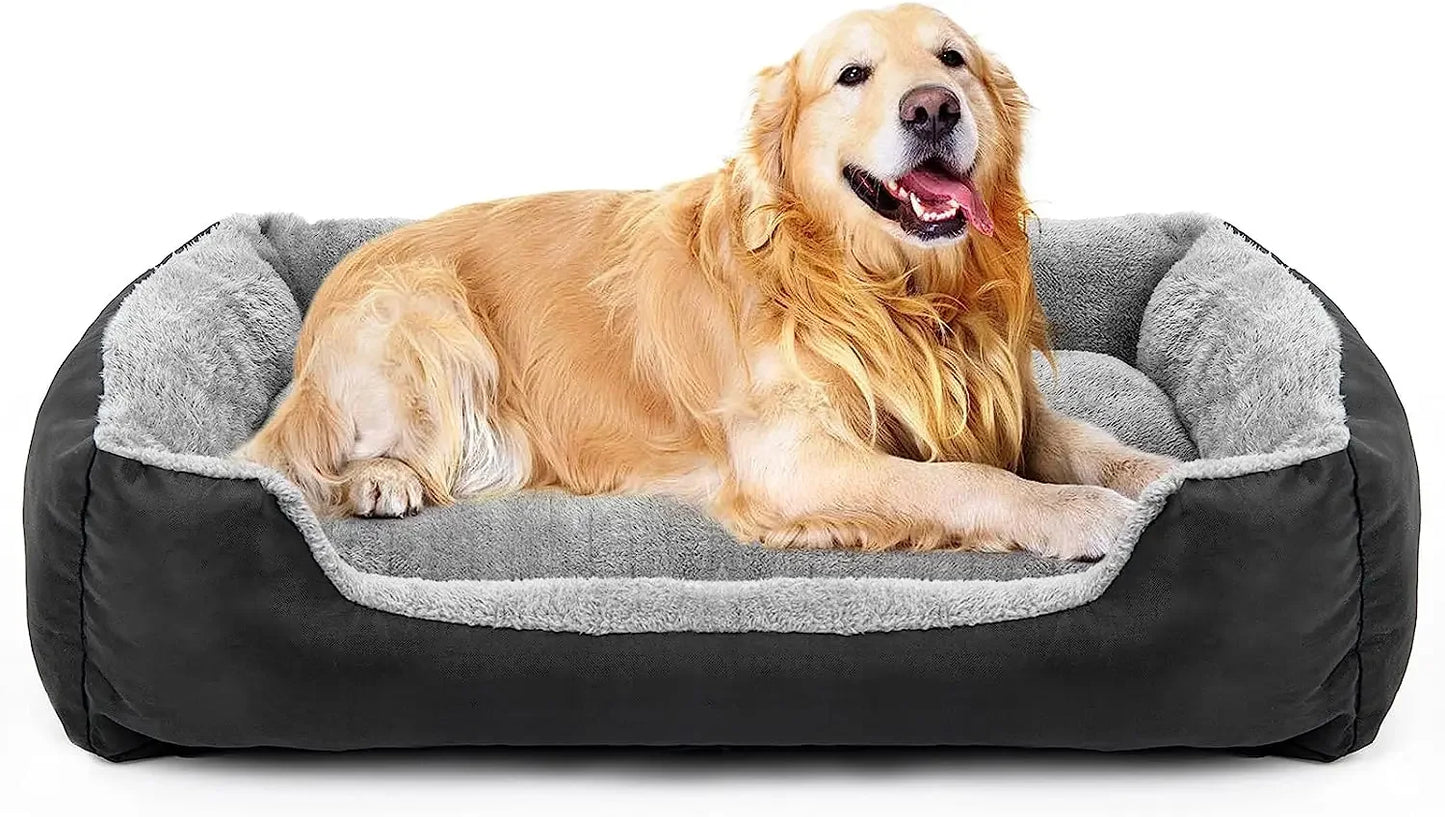 golden retriever couché dans son grand panier xxl pour chien de couleurs gris et noir pour boutiquechien. 