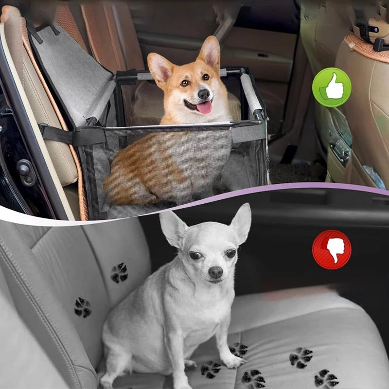 Avant du panier pour voiture de boutiquechien 