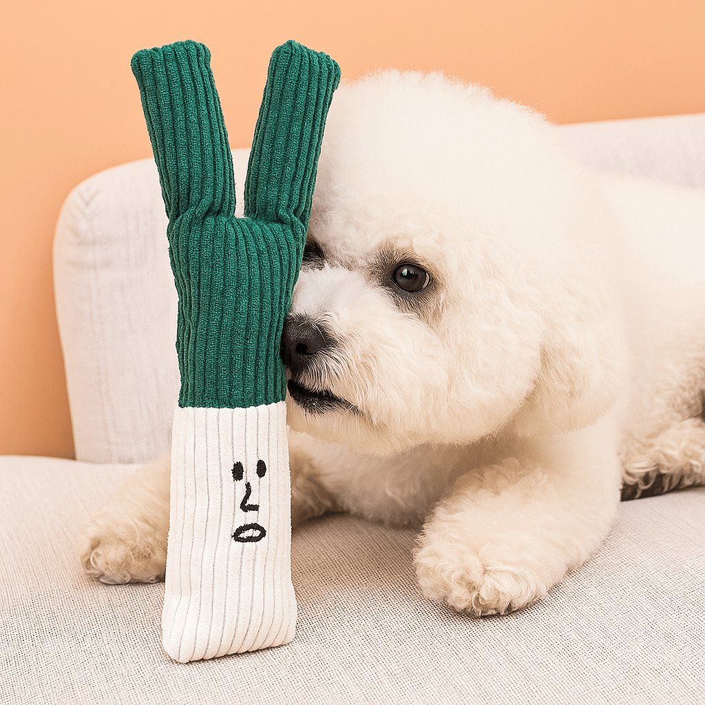 chien blanc couché sur canapé de couleur gris avec devant lui un poireau de couleur vert et blanc. Image produit Boutiquechien Image