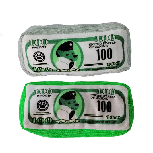 peluche en forme de billet de couleur vert pour les chiens. Image produit Boutiquechien
