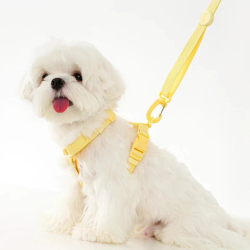 Harnais pour chien de couleur jaune avec un petit chien de couleur blanc. image produit Boutiquechien