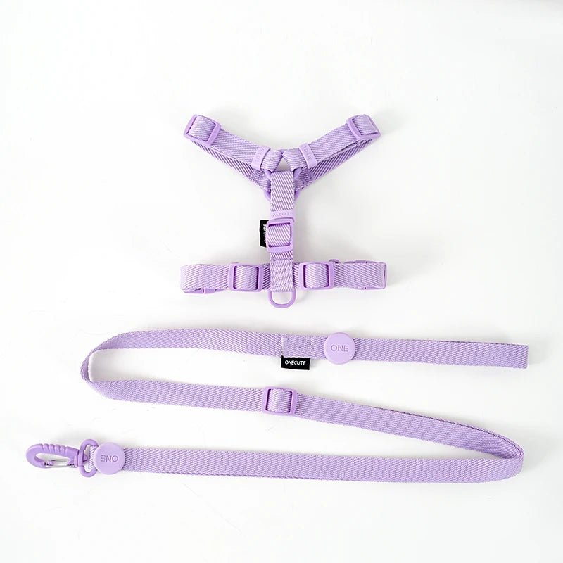 Petit harnais pour chien et chiot de couleur violet avec sa laisse violette. Image produit Boutiquechien