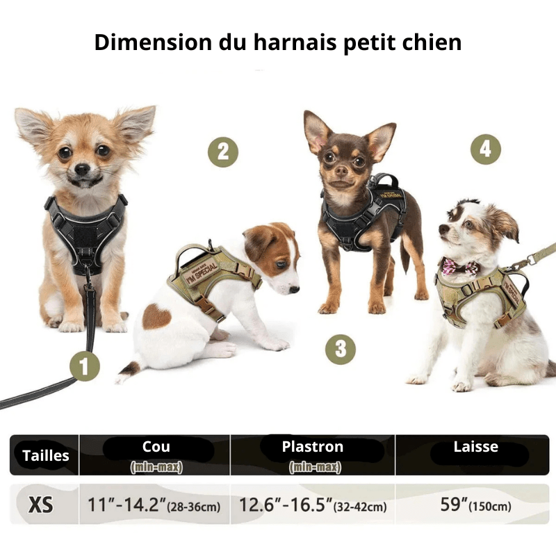 Tailles total du harnais pour petit chien et chiot de boutiquechien