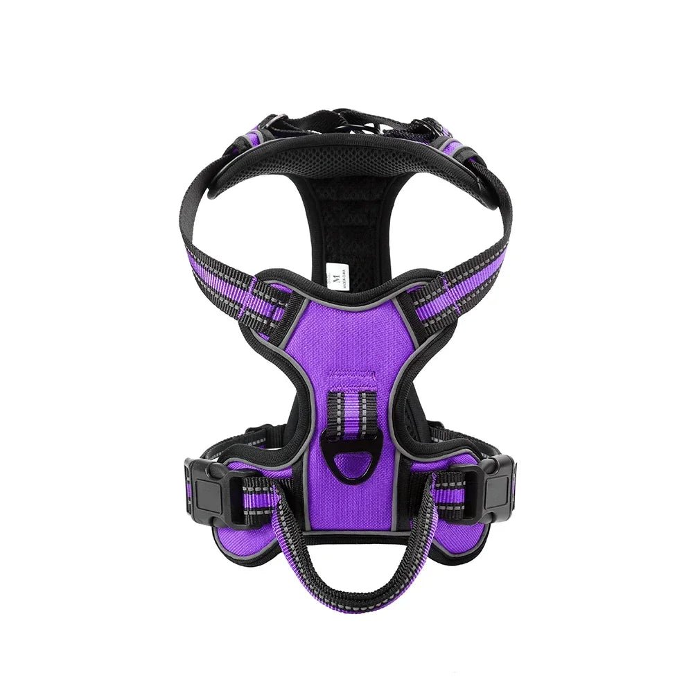 harnais vue du dessus violet fait en nylon pour chien