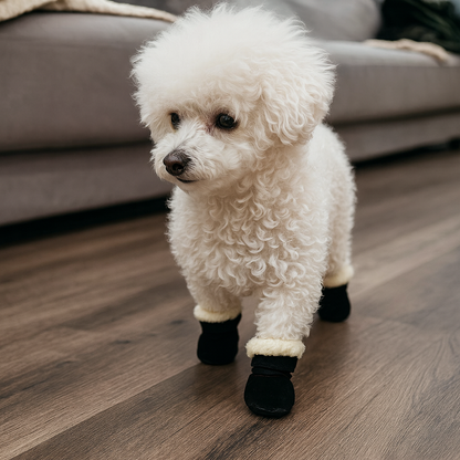 Petit chiens de couleur blanc portant des bottes pour chiens d'hiver de couleur noir avec du rembourrage blanc. Image produit Boutiquechien