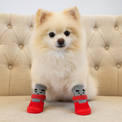 Petit chien de couleur blanc assis sur un canapé blanc. Le chien porte des chaussettes grise et rouge de boutiquechien