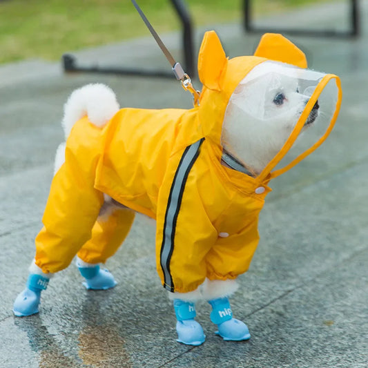 Petit chien de couleur blanc avec un imper orange dans une rue sur des pavés béton. Image produit Boutiquechien