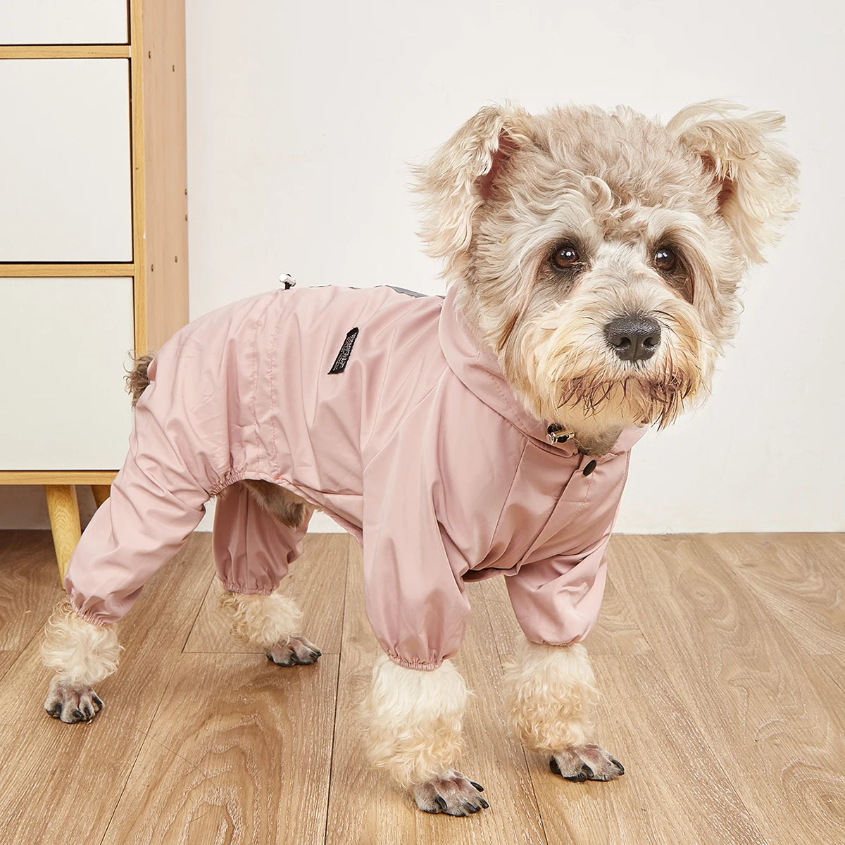 Petit chien de couleur blanc avec un imper de couleur rose pour les chiens. Le chien est dans une pièce claire avec un mur blanc et un meuble bois et blanc sur un parquet. Image produit Boutiquechien