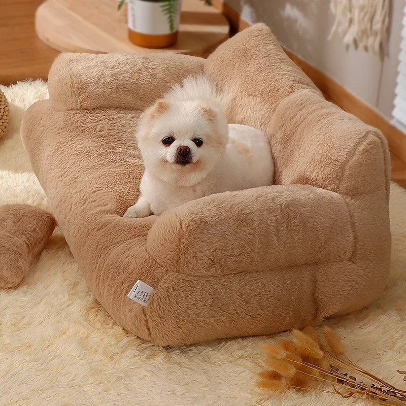 petit chien blanc posé dans un salon de couleur claire avec en fond des plantes vertes. Image produit Boutiquechien 