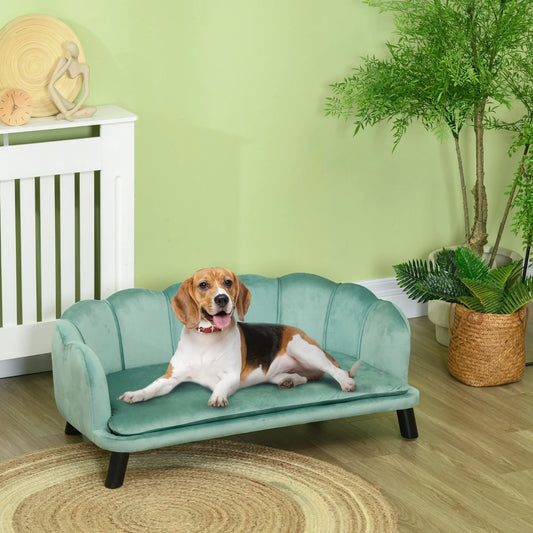 canapé pour petit chien vert avec des pieds Noir. Le canapé est pour petit chien qui est posé dans un salon en bois avec à sa  des plantes vertes et un radiateur blanc à gauche