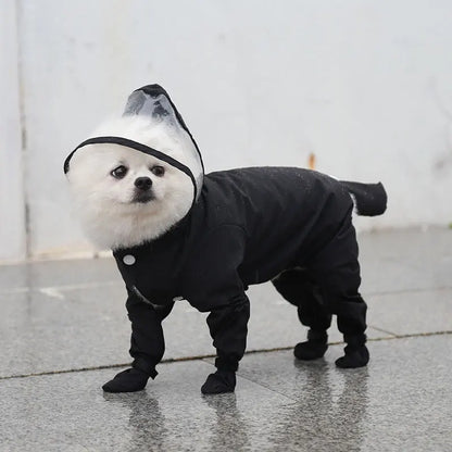 Petit chien de couleur blanc dans un grand imperméable de couleur noir dans une rue. Le chien porte une combinaison intégrale de la tête à la queu sur un passage piéton blanc. Image produit Boutiquechien