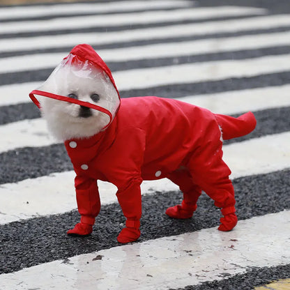 Petit chien de couleur blanc dans un grand imperméable de couleur rouge dans une rue. Le chien porte une combinaison intégrale de la tête à la queu sur un passage piéton blanc. Image produit Boutiquechien