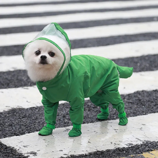 Petit chien de couleur blanc dans un grand imperméable de couleur vert dans une rue. Le chien porte une combinaison intégrale de la tête à la queu sur un passage piéton blanc. Image produit Boutiquechien