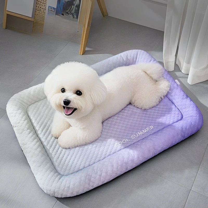 petit chien blanc couché sur le tapis rafraichissant bi Color de boutiquechien Image