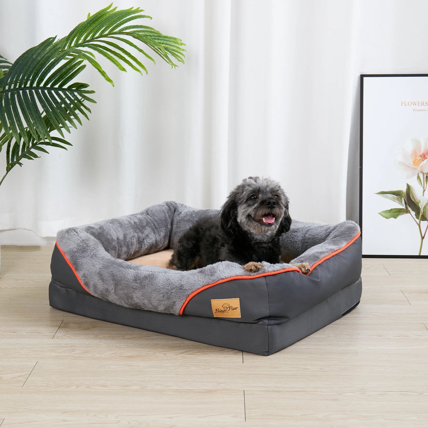 Petit chien de couleur noir couché dans son panier chien de couleur avec en fond un tableau et une plante verte. Image produit boutiquechien