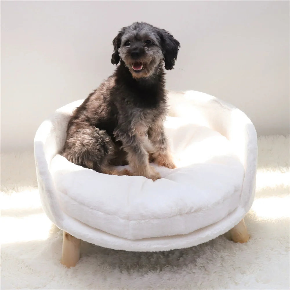 chien noir sur un canapé de couleur blanc assis dessus. Image produit Boutiquechien