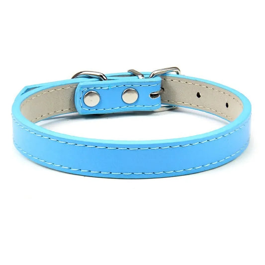 Collier chiot de couleur bleu pour petit chien. Image produit Boutiquechien 