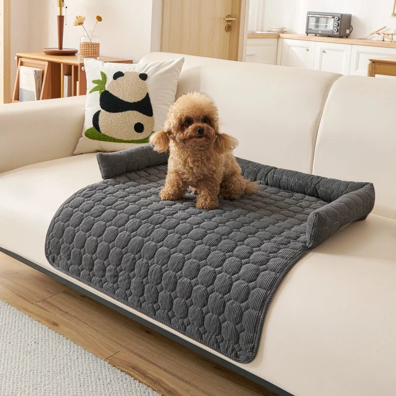 Protege canape pour chien gris fonce sur un canapé blanc avec un chien dessus 