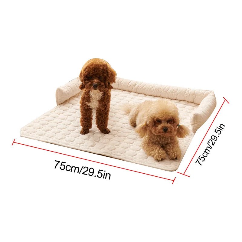 Protege canape pour chien dimensions 