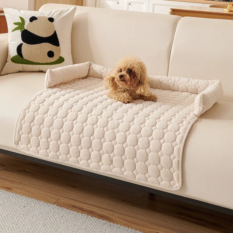 Protège canape pour chien blanc