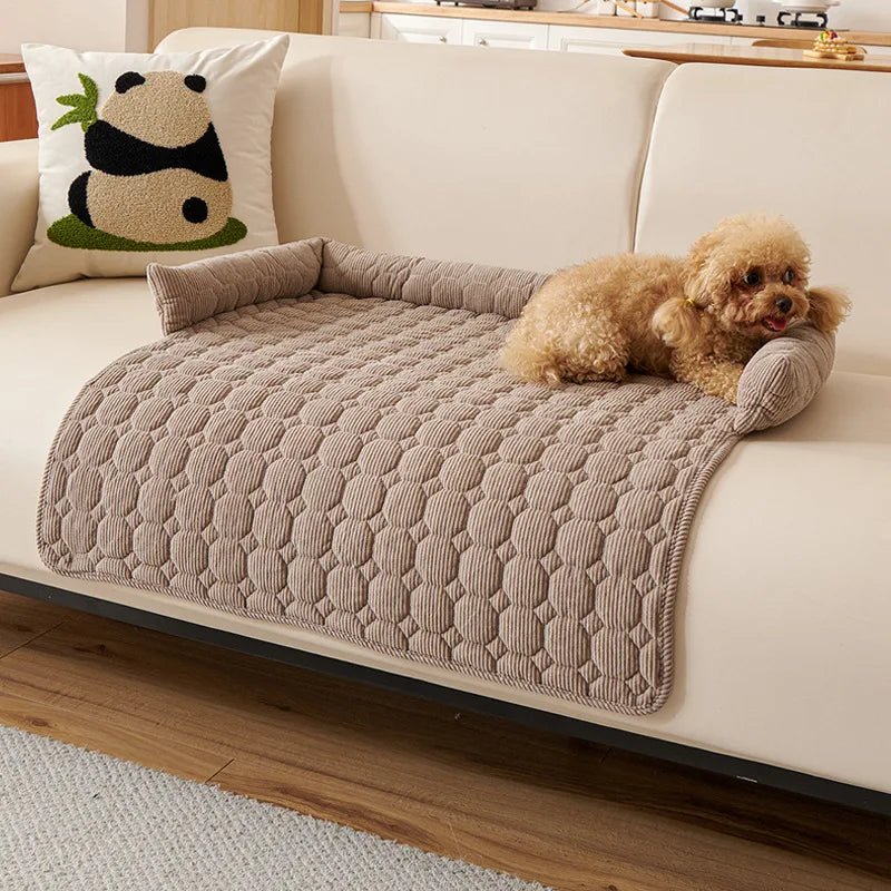 Protege canape pour chien de couleur un canapé de couleur blanc avec un chien claire dessus 